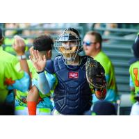 Columbia Fireflies catcher Blake Mitchell