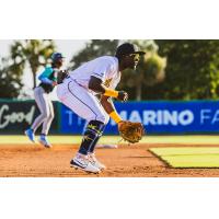 Charleston RiverDogs in action