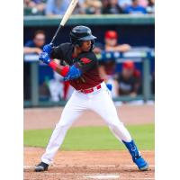 Brennon McNair of the Columbia Fireflies awaits a pitch