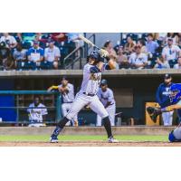 Charleston RiverDogs await a pitch