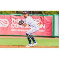 Charleston RiverDogs in the field