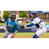 Tulsa Drillers catcher Griffin Lockwood-Powell tags out former Driller Matt Beaty