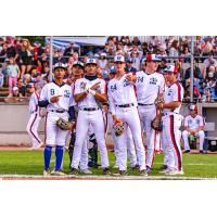 Victoria HarbourCats on game day