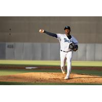 Tampa Tarpons pitcher Steven Fulgencio