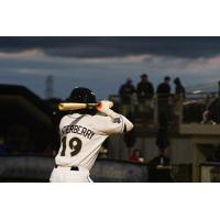 Donavan Canterberry at bat for the Fond du Lac Dock Spiders