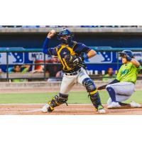 Charleston RiverDogs in action