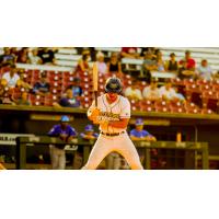 Drew Barragan at the plate for the Fond du Lac Dock Spiders