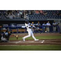 Biloxi Shuckers' Lamar Sparks at bat