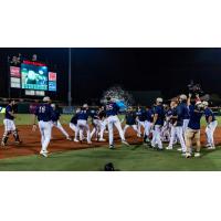 Montgomery Biscuits celebrate win