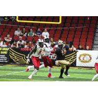 Jacksonville Sharks running back Tyler King carries against the Iowa Barnstormers