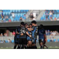 San Jose Earthquakes celebrate win