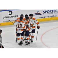 Greenville Swamp Rabbits gather after a goal