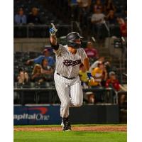 Somerset Patriots outfielder Elijah Dunham