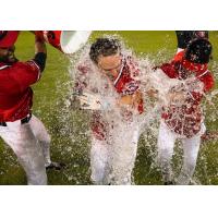 Fargo-Moorhead RedHawks celebrate a walk-off win