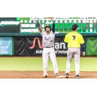 Charleston RiverDogs and Columbia Fireflies on game night