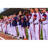 Victoria HarbourCats on game night