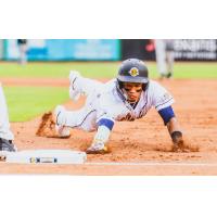 Charleston RiverDogs in action