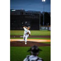 Royal Oak Leprechauns pitcher Alejandro Espinoza