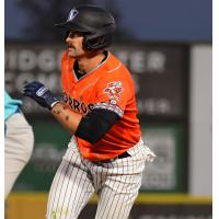 Somerset Patriots' Aaron Palensky in action