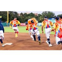 Charleston RiverDogs celebrate win