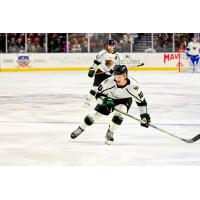 Utah Grizzlies forward Mick Messner