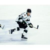 Utah Grizzlies forward Mick Messner