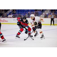 Vancouver Giants forward Cameron Schmidt