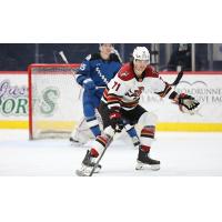 Chaz Reddekopp with the Tucson Roadrunners