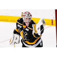 Wheeling Nailers goaltender Jaxon Castor