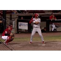 Winnipeg Goldeyes at bat