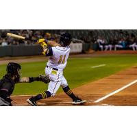 Montgomery Biscuits' Heriberto Hernandez at bat