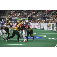 Jacksonville Sharks gain yardage against the Quad City Steamwheelers