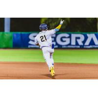 Charleston RiverDogs outfielder Jhon Diaz