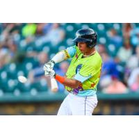 Columbia Fireflies' Lizandro Rodriguez at bat