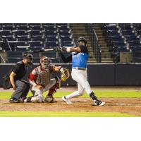 Tampa Tarpons at bat