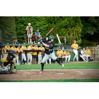 Vermont Mountaineers' Tyler Cox at bat