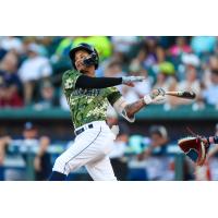 Columbia Fireflies' Erick Torres at bat