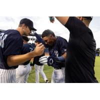 Tampa Tarpons celebrate win