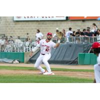 Winnipeg Goldeyes' Jake McMurray in action