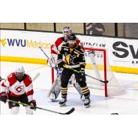 Wheeling Nailers forward Matthew Quercia vs. the Cincinnati Cyclones