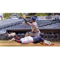 Mississippi Braves and Tennessee Smokies in action