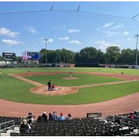 A beautiful day for baseball at Segra Stadium, home of the Fayetteville Woodpeckers