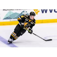 Wheeling Nailers forward Cal Kiefiuk