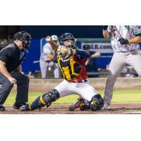 Charleston RiverDogs in action