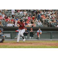 Kansas City Monarchs' Trent Giambrone at bat