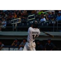 Fond du Lac Dock Spiders' Caden Shapiro at bat