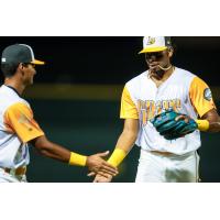 Austin Charles of the Columbia Fireflies receives congratulations after his home run