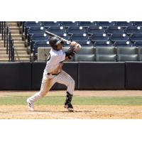 Tampa Tarpons at the plate