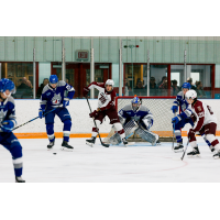 Chase Lefebvre of the Peterborough Petes vs. the Sudbury Wolves