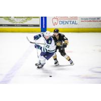 Maine Mariners forward Garrett Devine